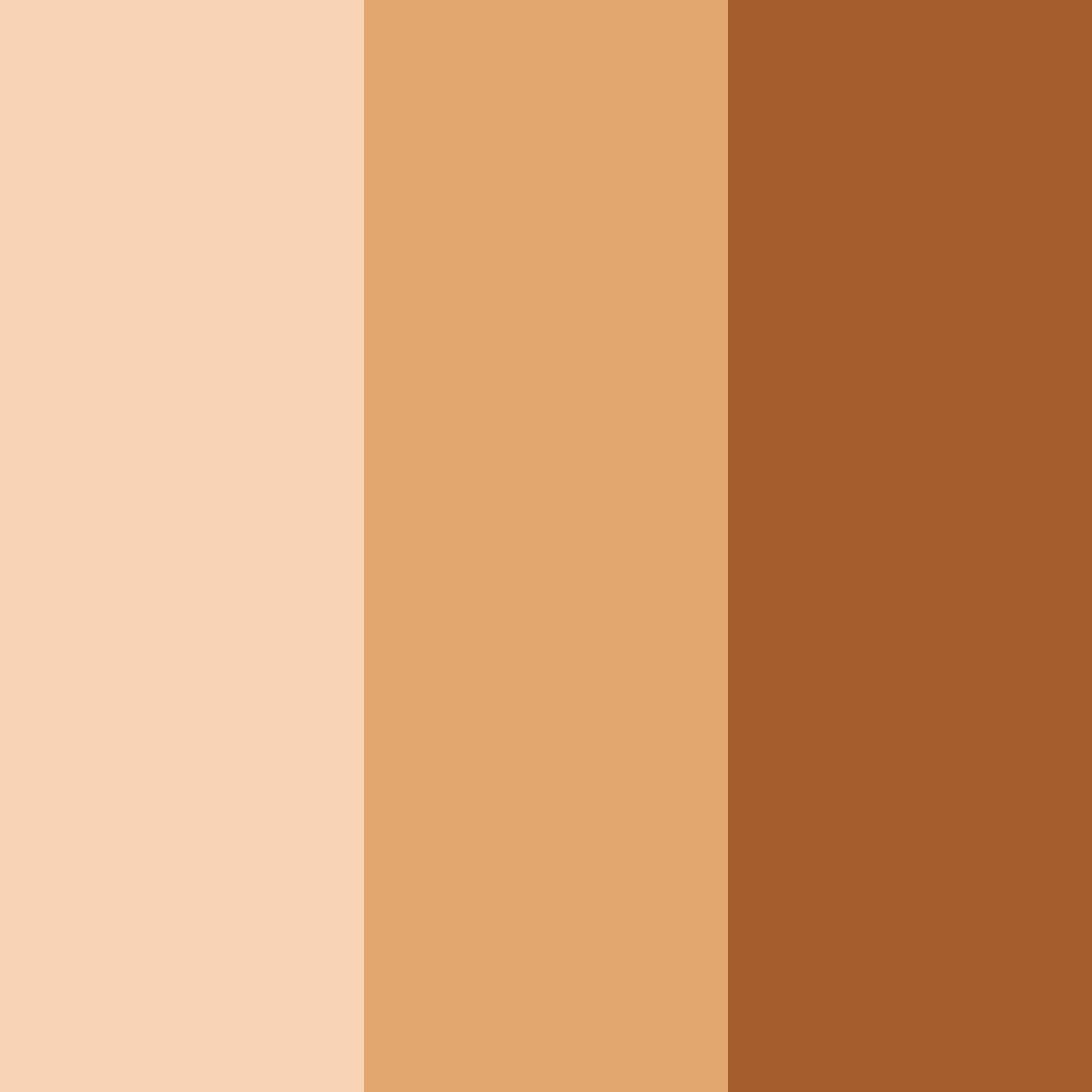 Download rustic ember color palette PNG image (square)