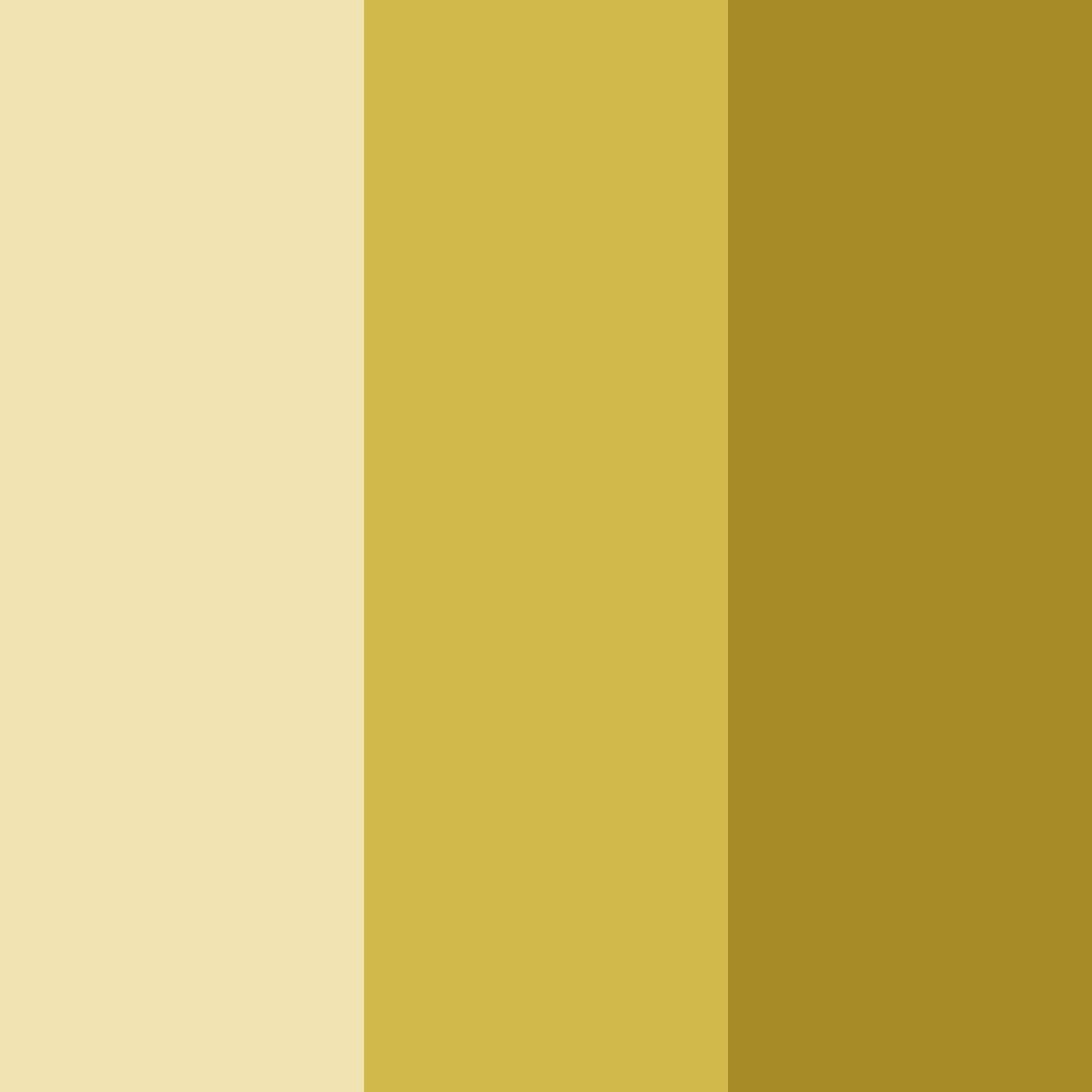 Download golden shades color palette PNG image (square)