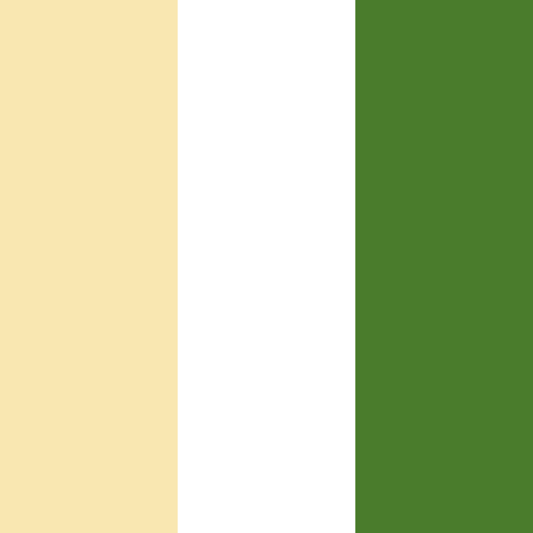 Download golden morning green color palette PNG image (square)