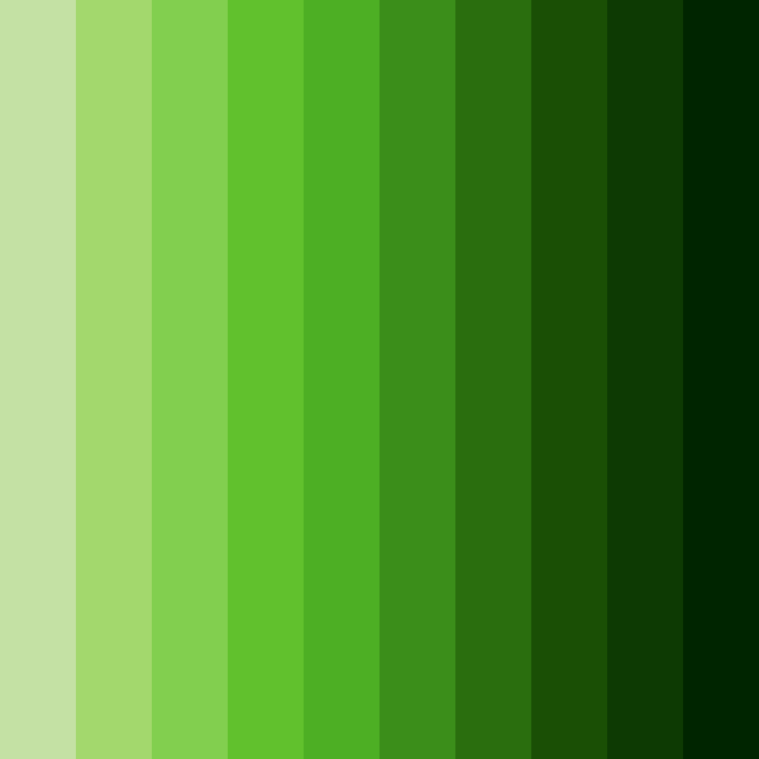 Download emerald canopy color palette PNG image (square)