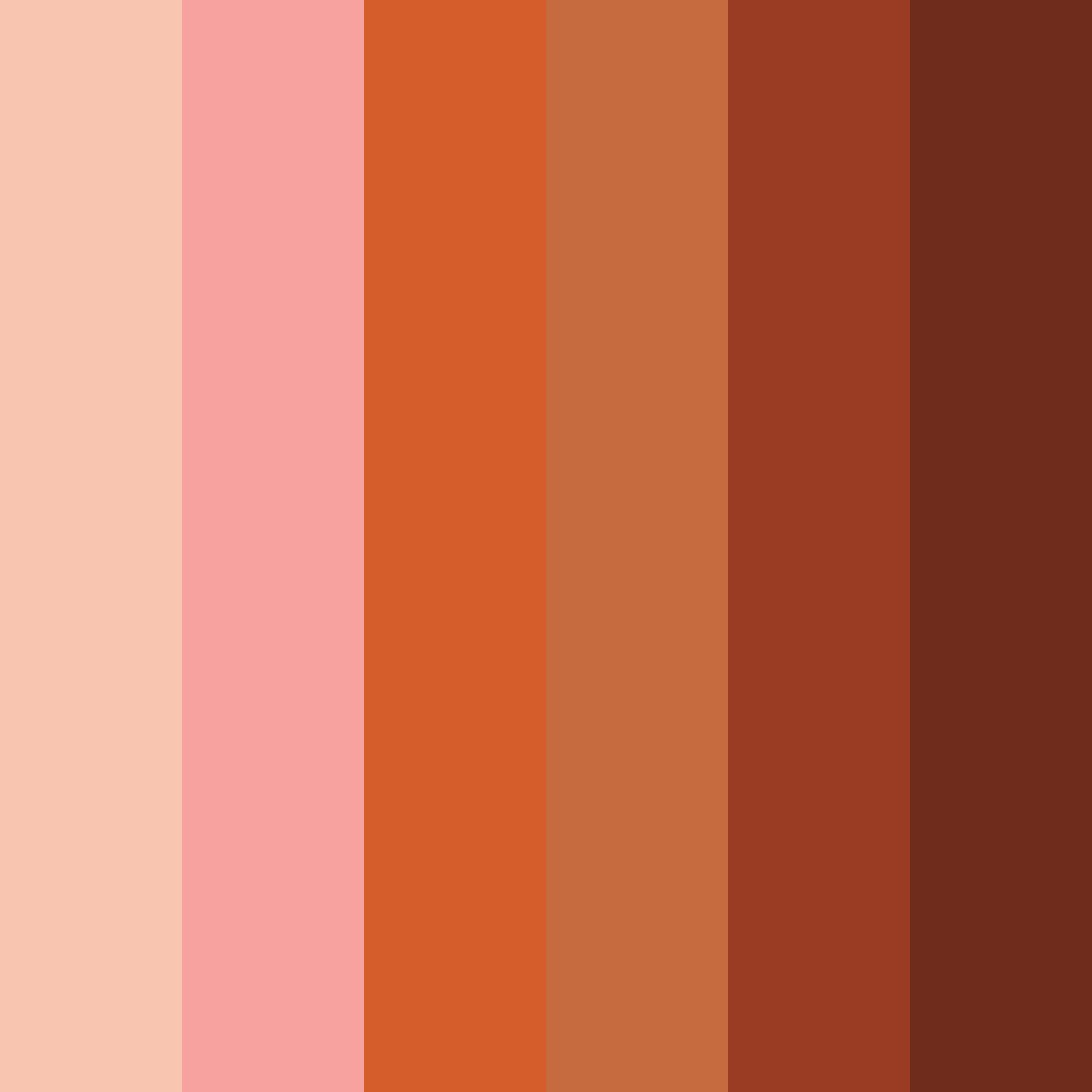 Download cajun sunset delight color palette PNG image (square)