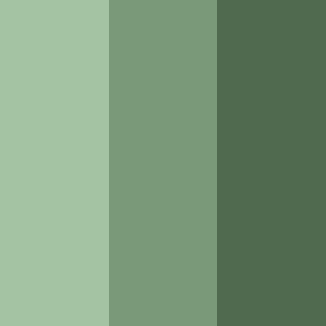 Download emerald shadow color palette PNG image (square)
