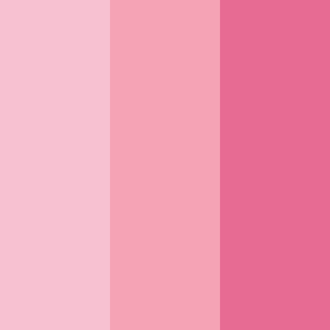 Download bright pink wildflower color palette PNG image (square)