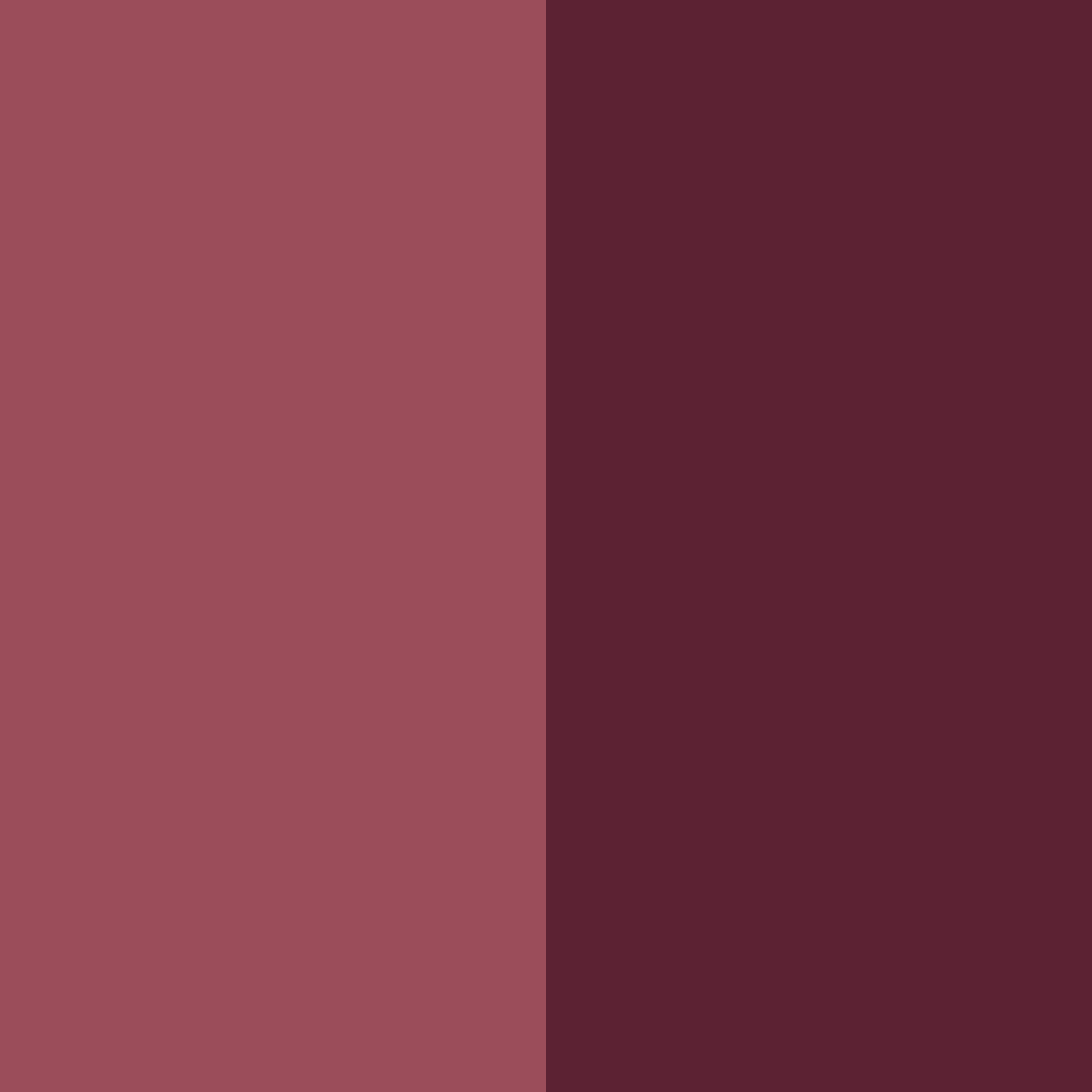 Download deep burgundy color palette PNG image (square)