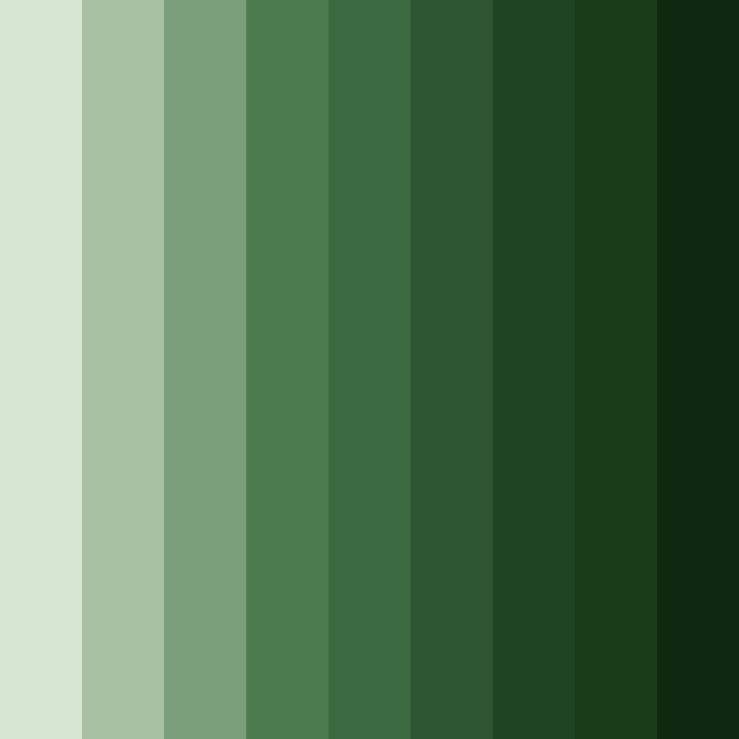 Download whispering woods color palette PNG image (square)
