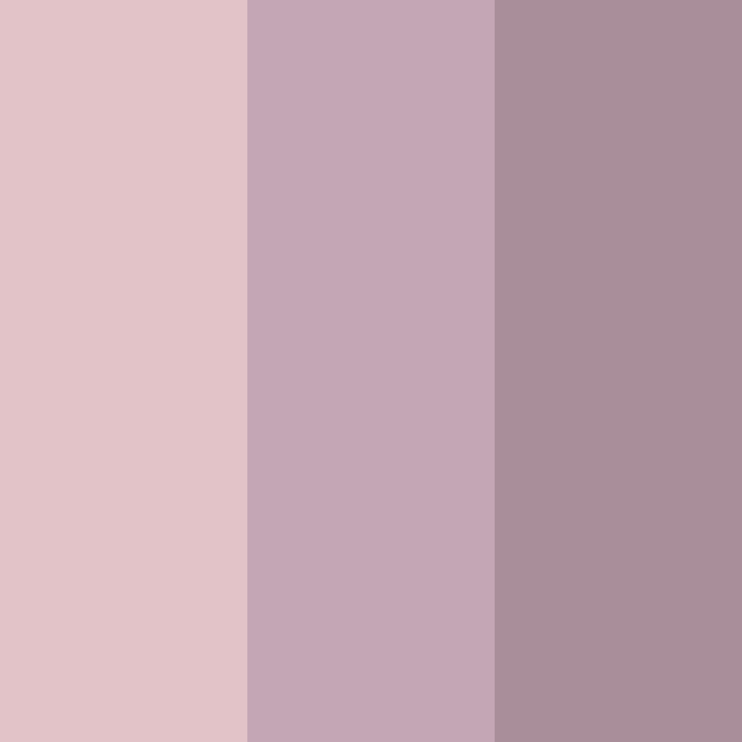Download muted blossoms color palette PNG image (square)