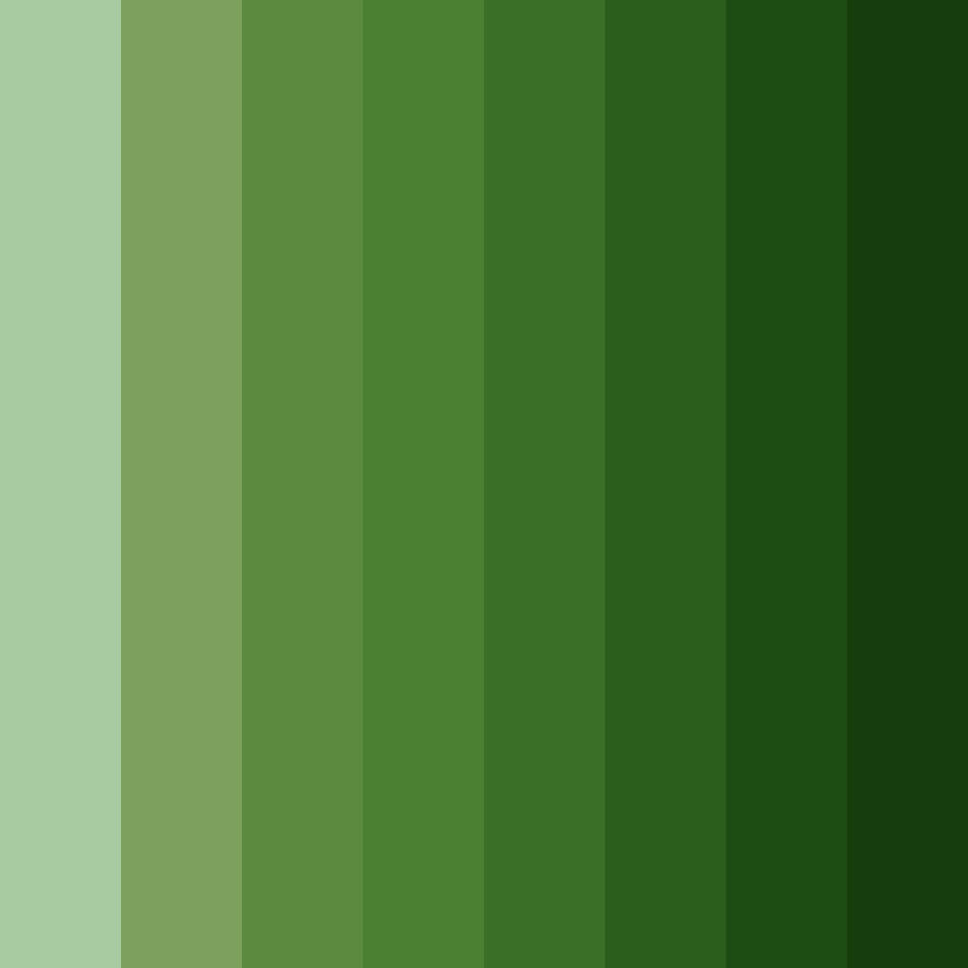 Download dark green forest color palette PNG image (square)