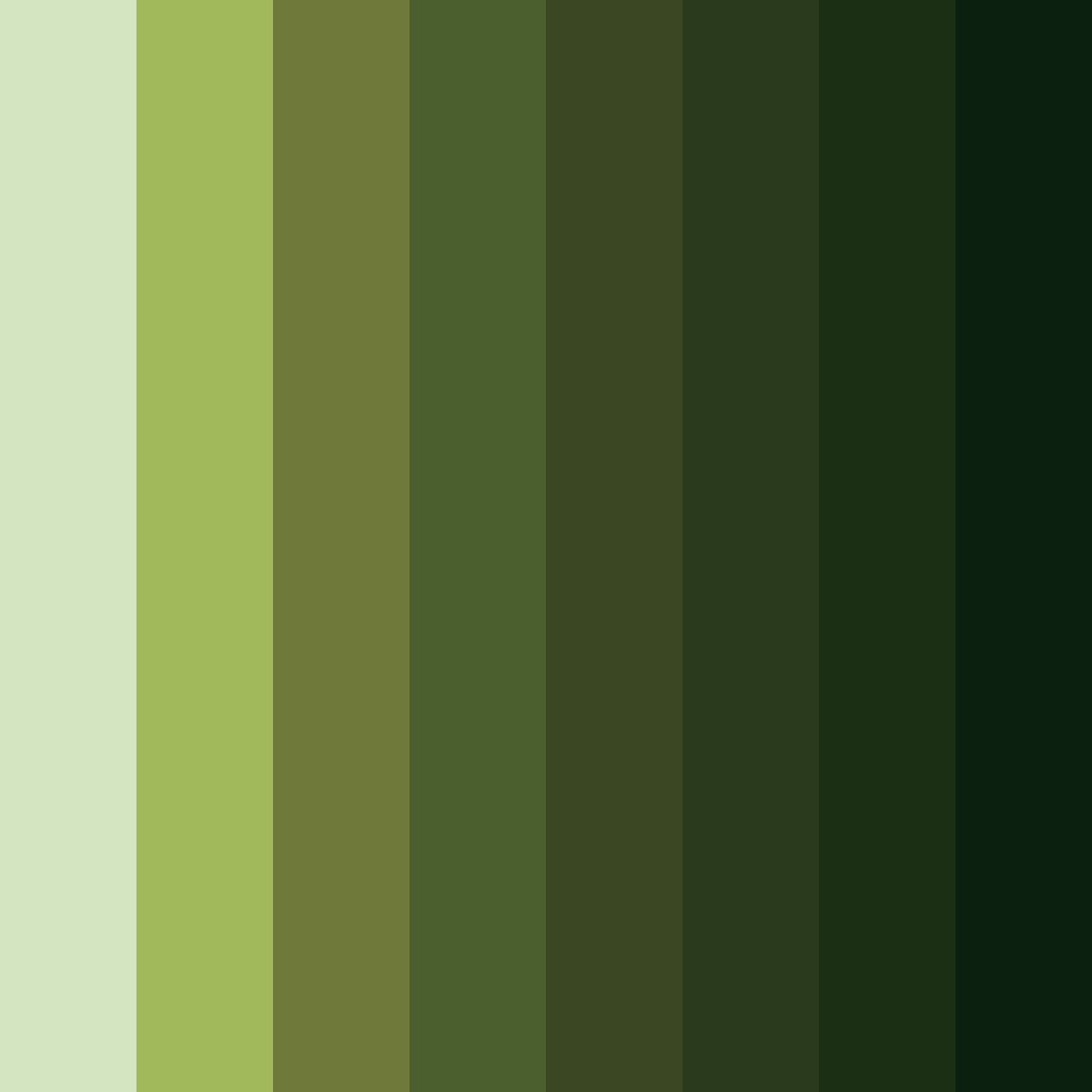 Download dark green forest color palette PNG image (square)