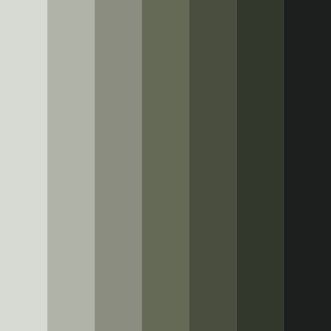 Download shades of ash grey color palette PNG image (square)