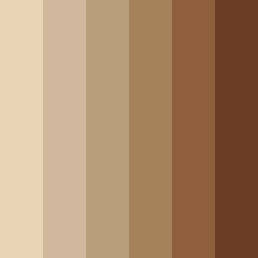 Download wooden brown color palette PNG image (square)