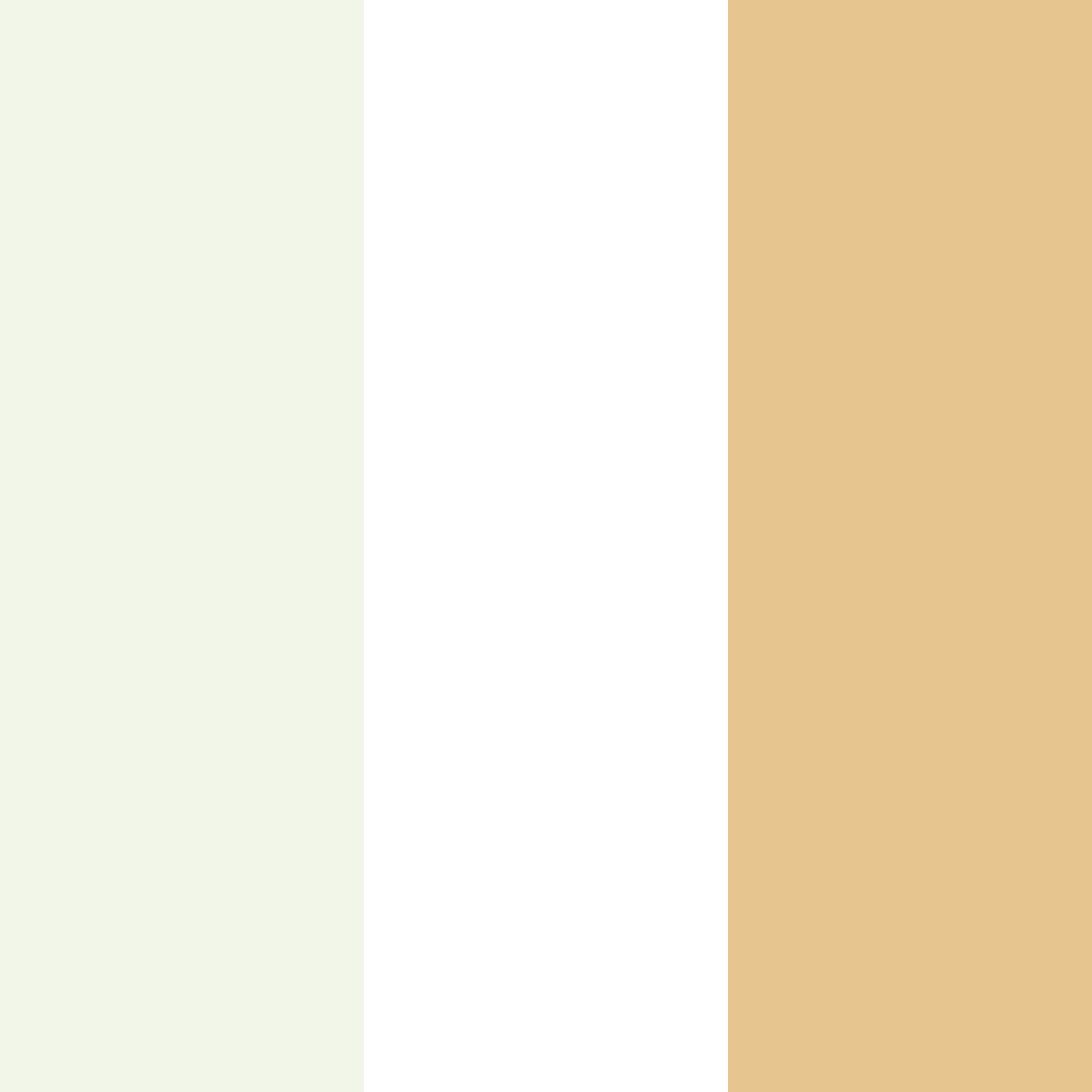 Download meadow whisper color palette PNG image (square)