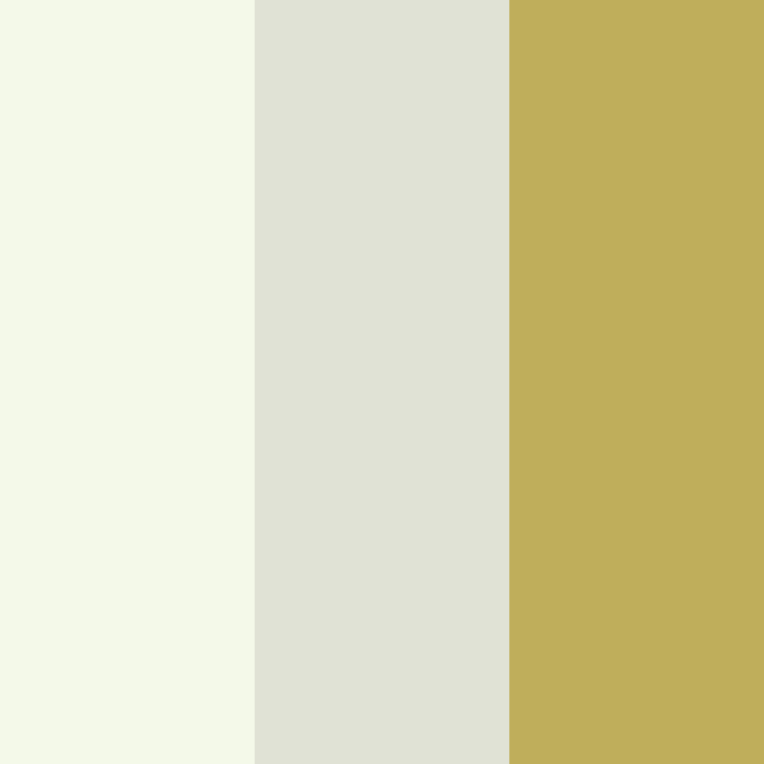 Download golden meadow whisper color palette PNG image (square)