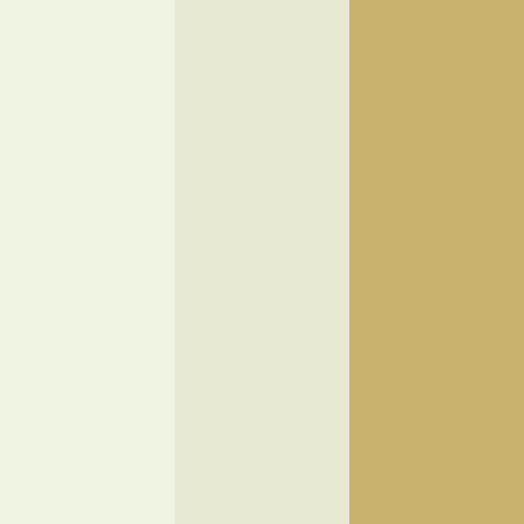 Download golden meadow serenity color palette PNG image (square)