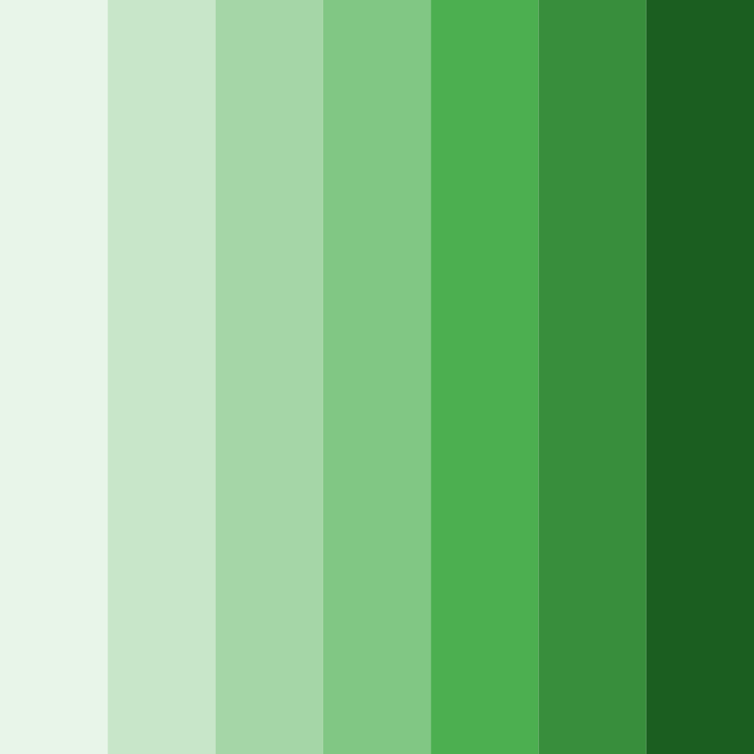 Download green matcha color palette PNG image (square)