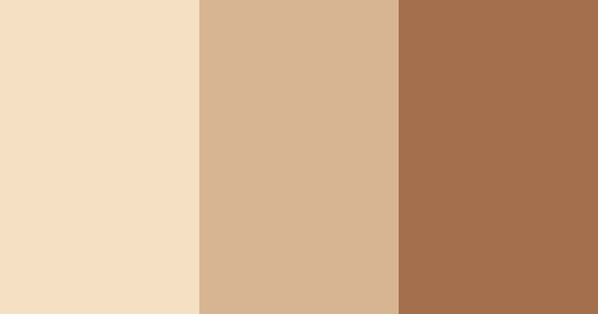 Download café delight color palette PNG image (landscape)