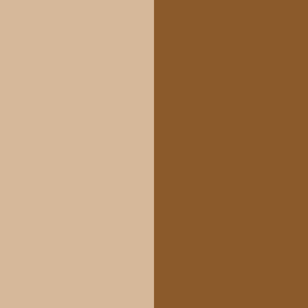 Download cocoa wilderness color palette PNG image (square)
