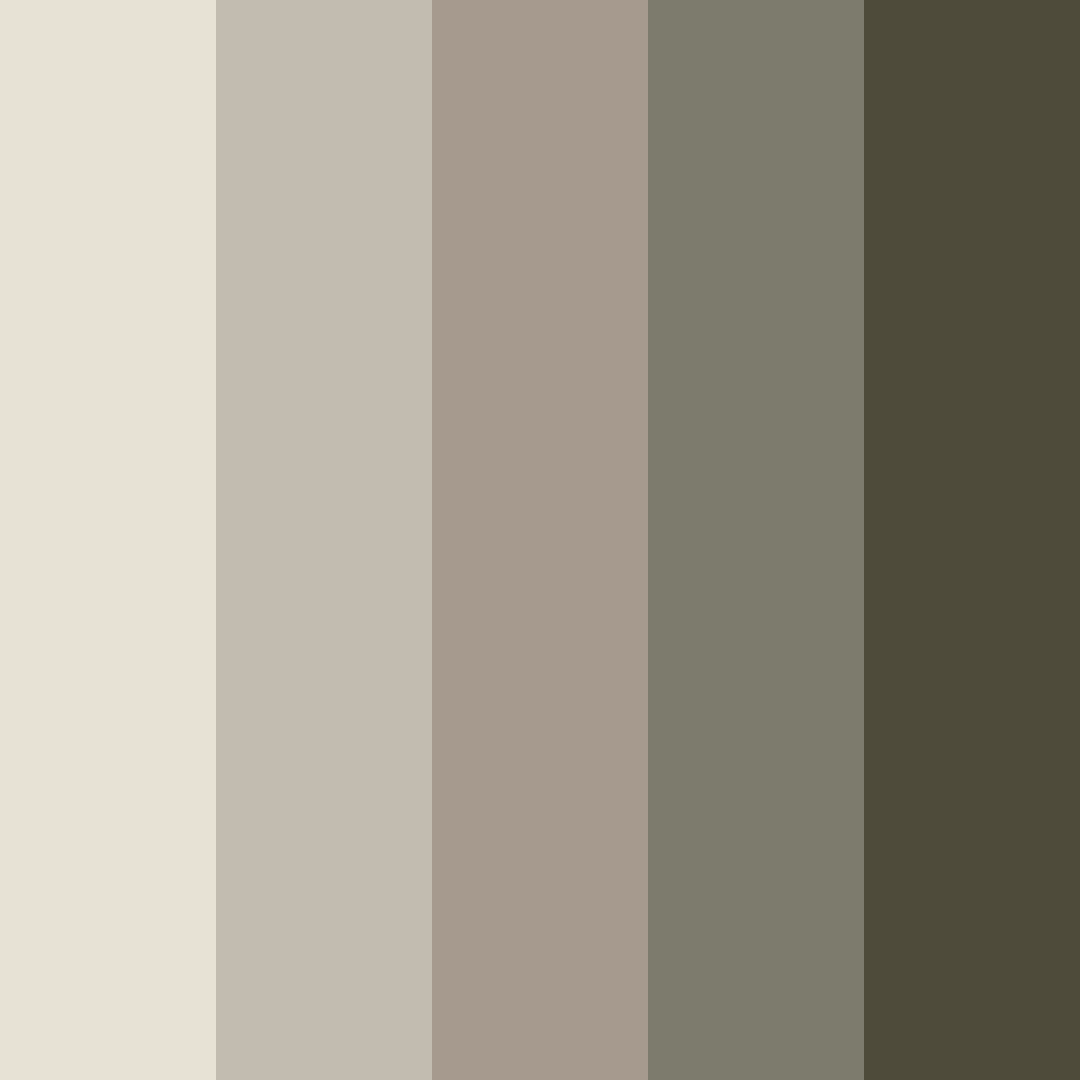 Download neutral tones color palette PNG image (square)