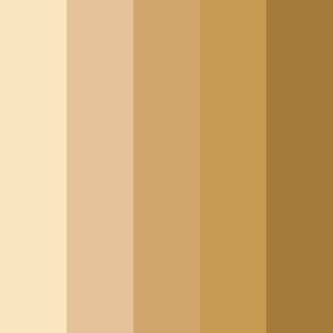 Download coastal dunes color palette PNG image (square)