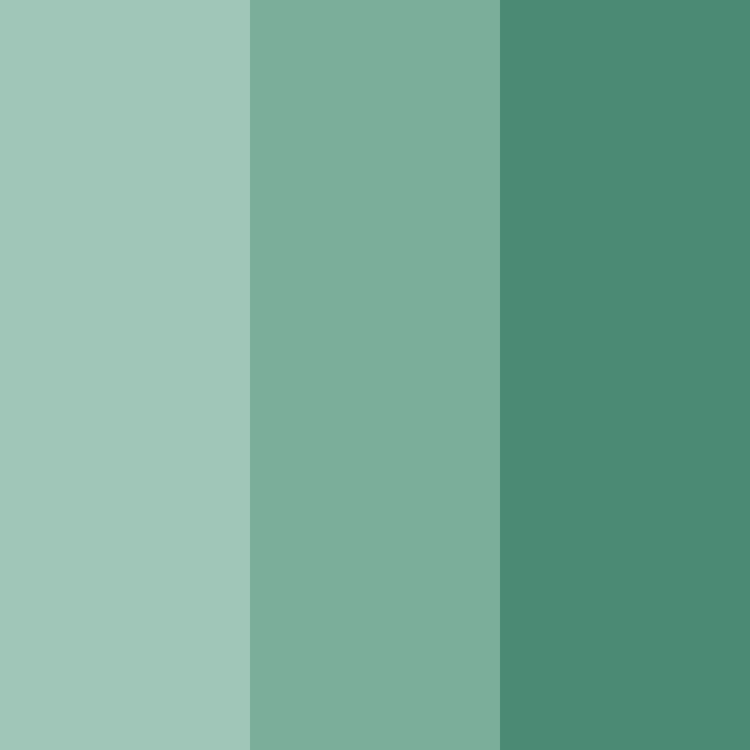 Download serene forest retreat color palette PNG image (square)
