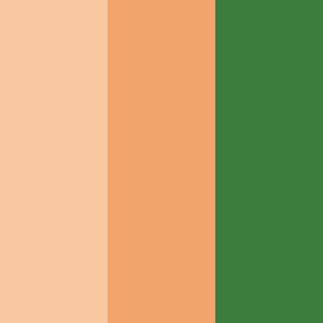 Download peachy green color palette PNG image (square)