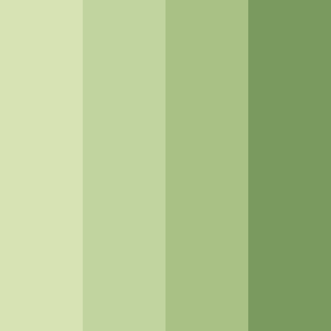 Download verdant embrace color palette PNG image (square)
