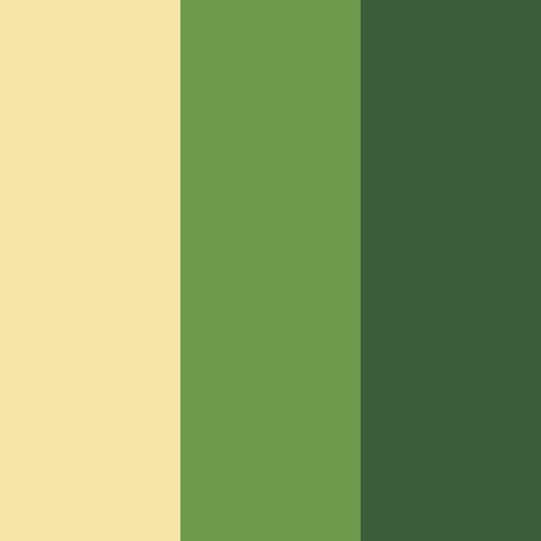 Download soft gold and deep green color palette PNG image (square)