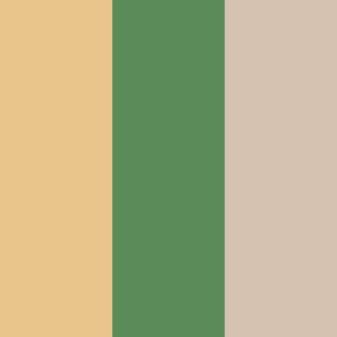 Download golden whispering grove color palette PNG image (square)