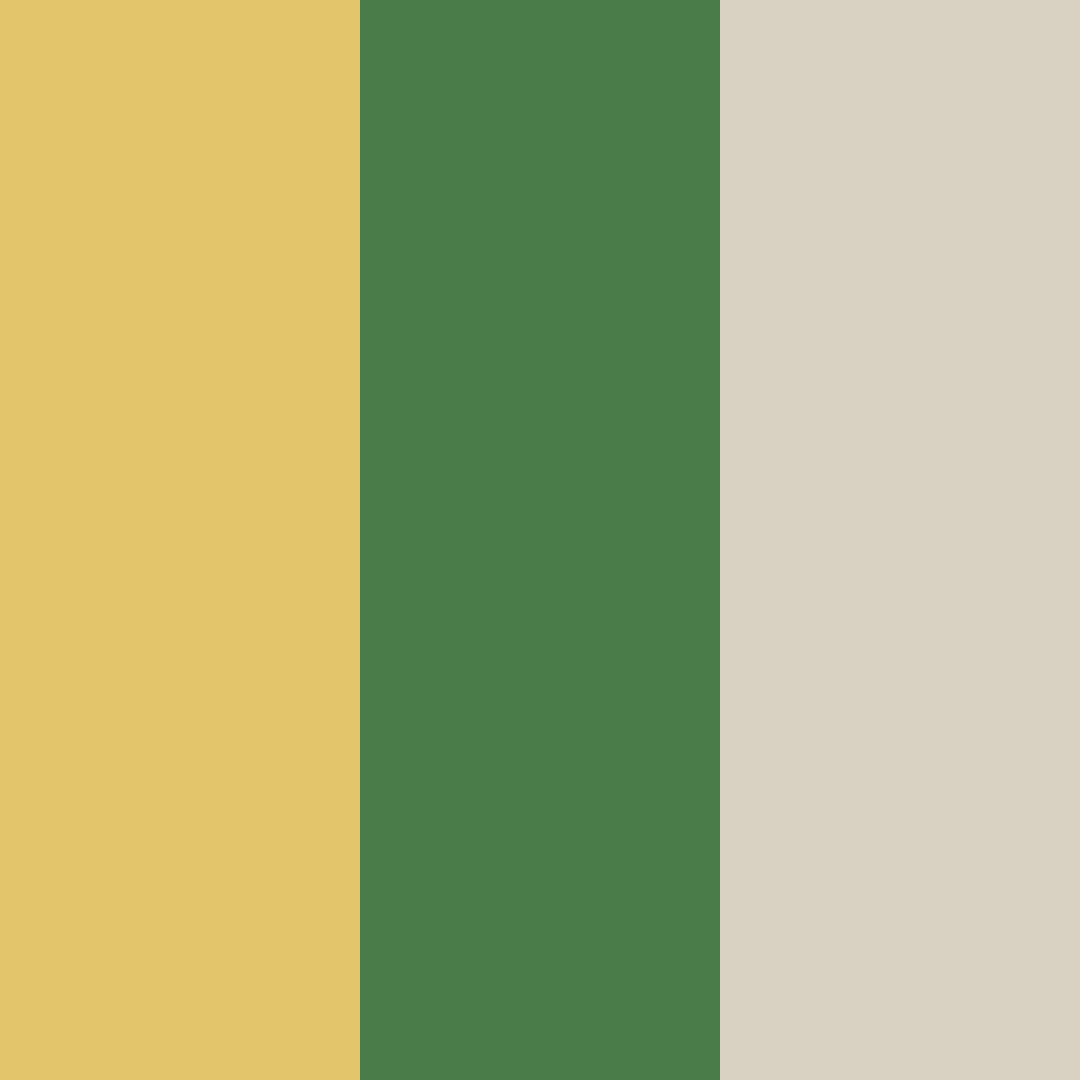 Download golden green color palette PNG image (square)