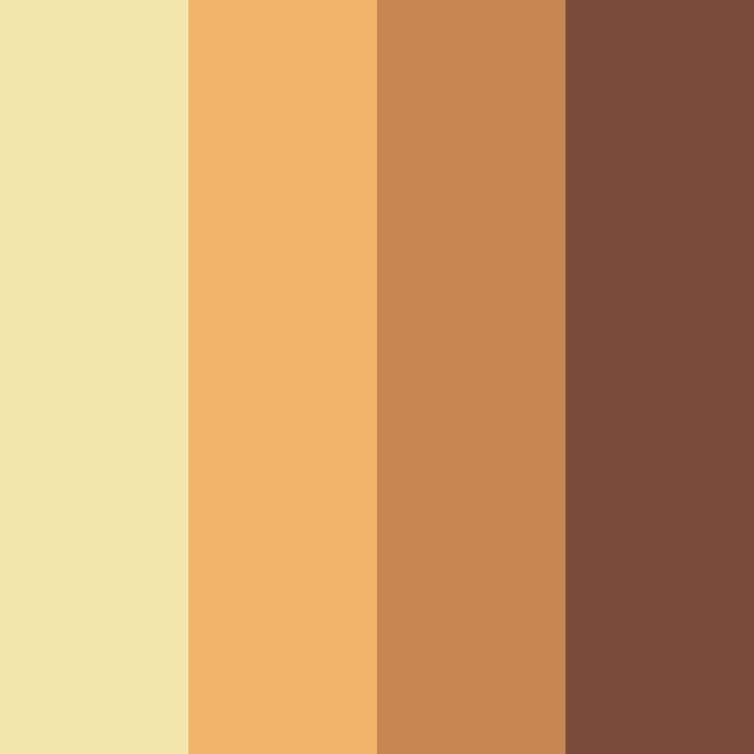 Download brown beach color palette PNG image (square)