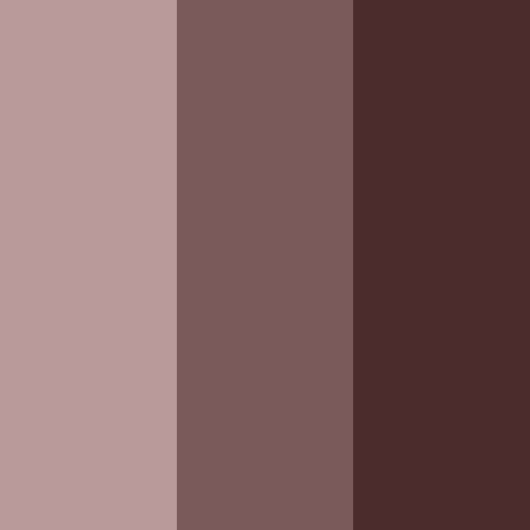 Download dark brown color palette PNG image (square)