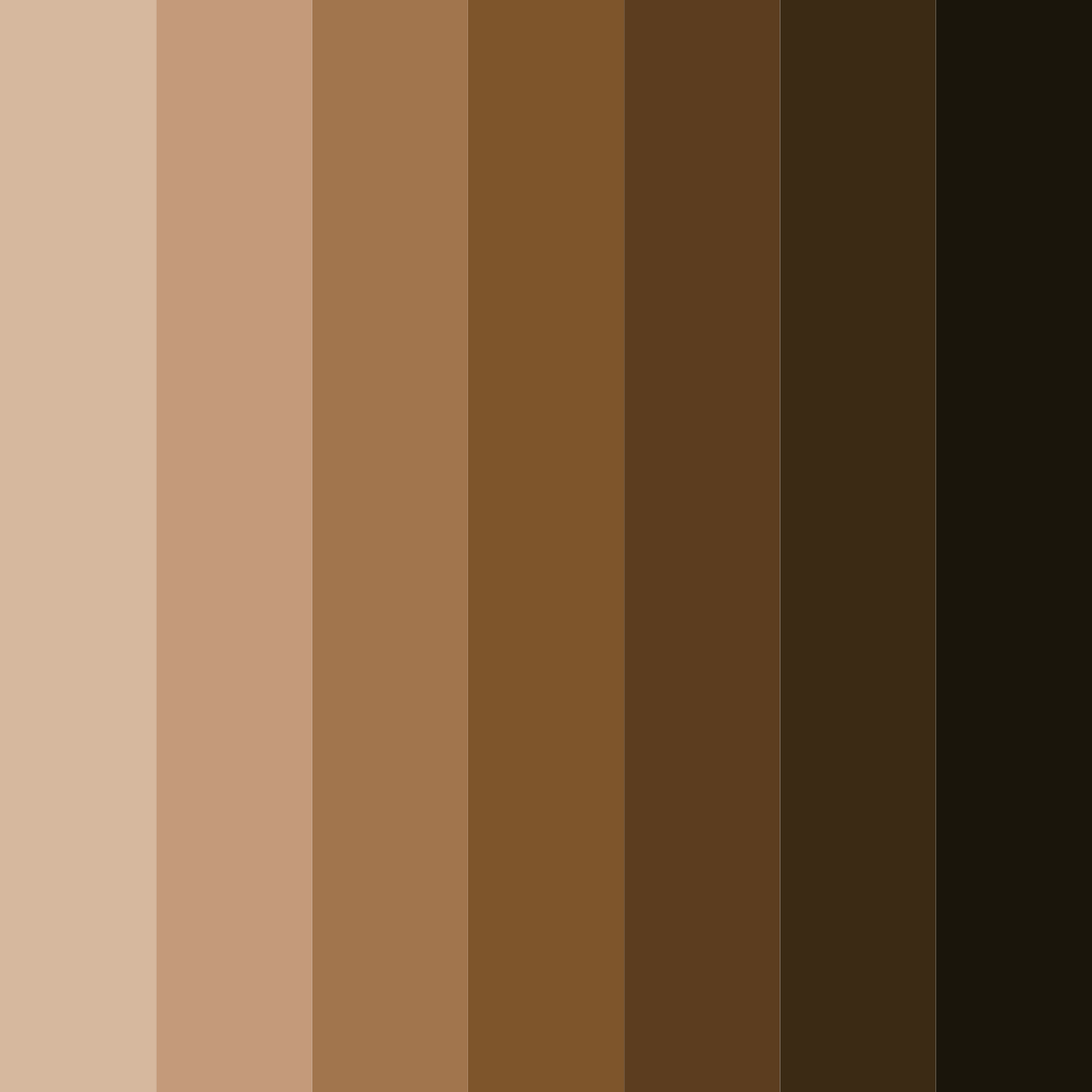 Download rich brown color palette PNG image (square)