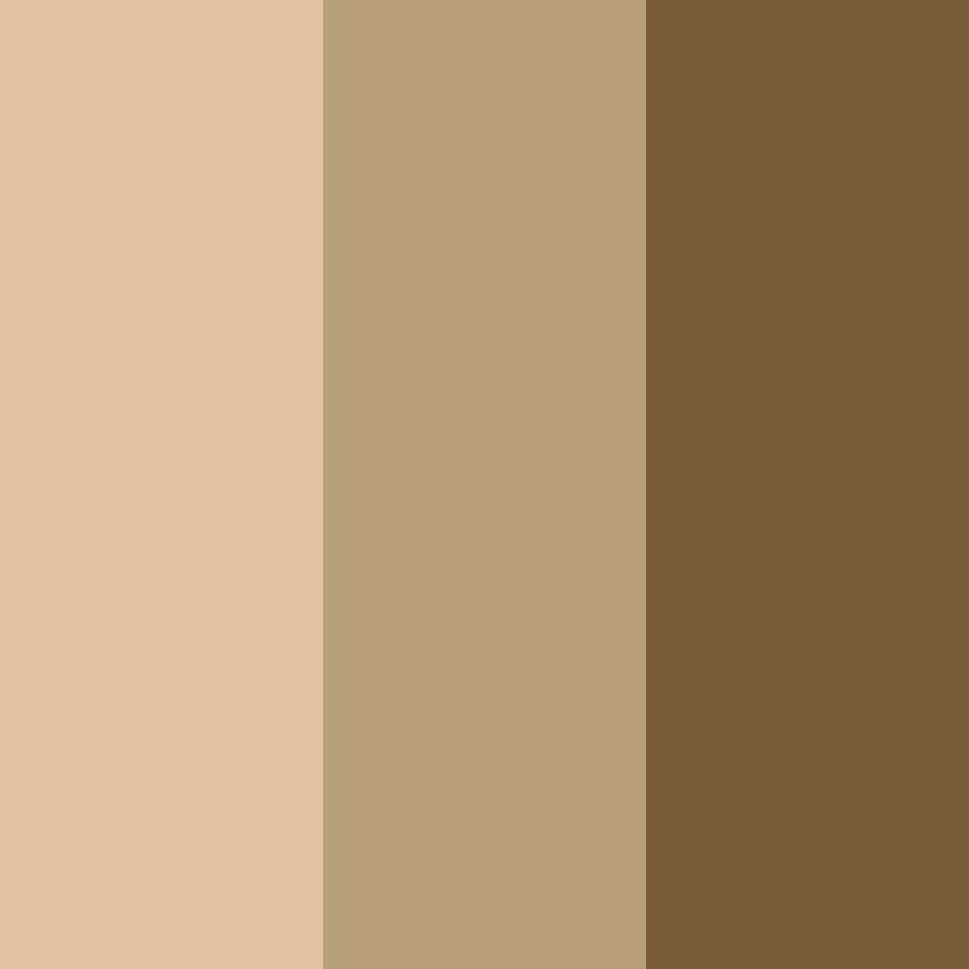 Download brown earth color palette PNG image (square)