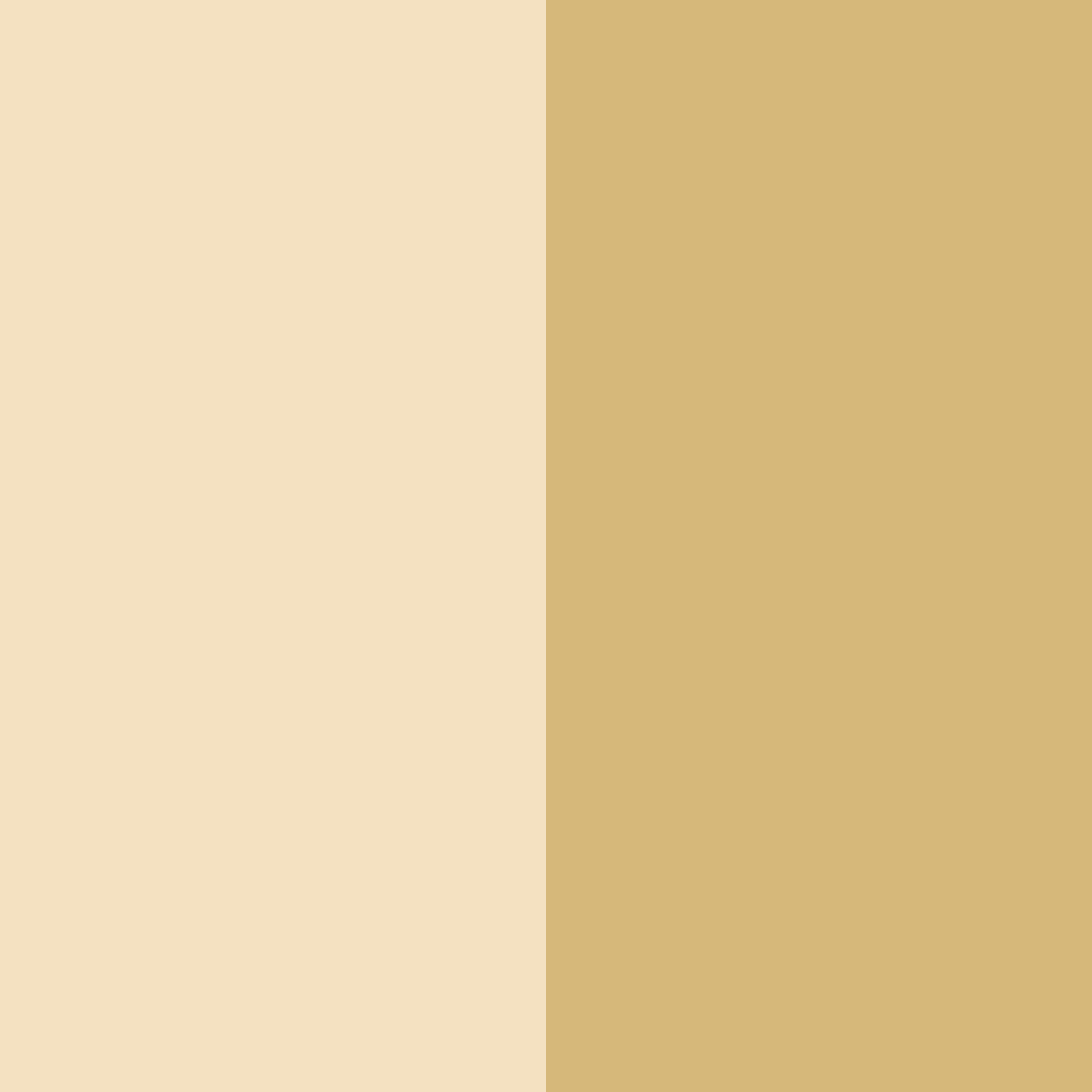 Download beige beach color palette PNG image (square)