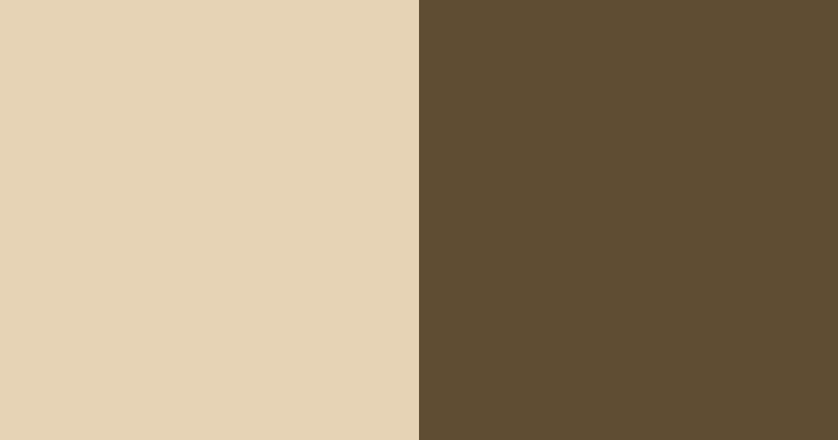 Download beige and black color palette PNG image (landscape)