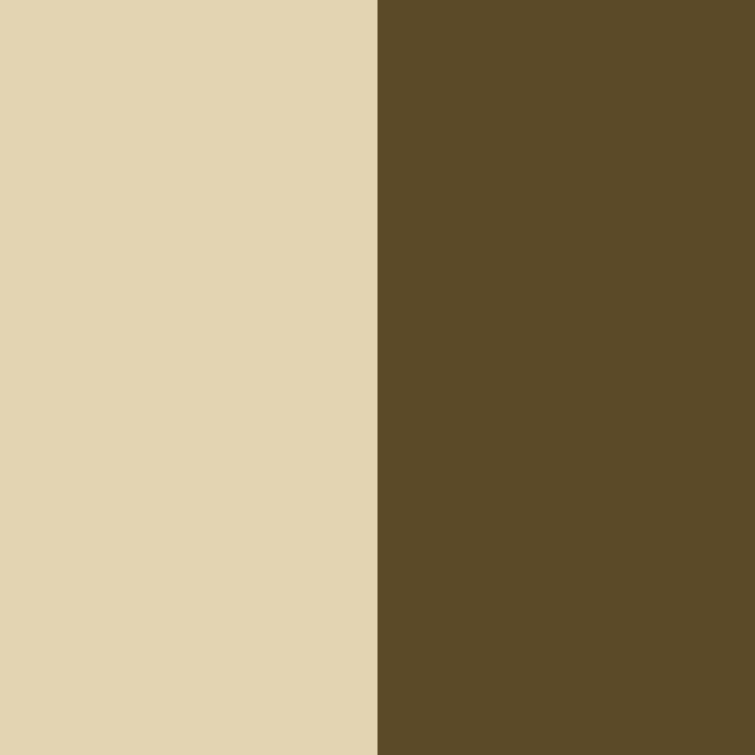 Download olive beige color palette PNG image (square)