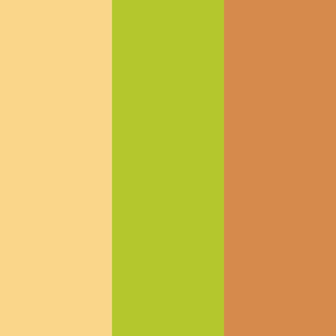 Download sunlit orchard color palette PNG image (square)