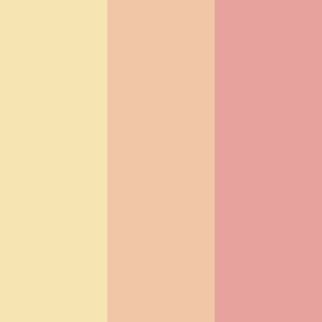 Download sunkissed blossoms color palette PNG image (square)