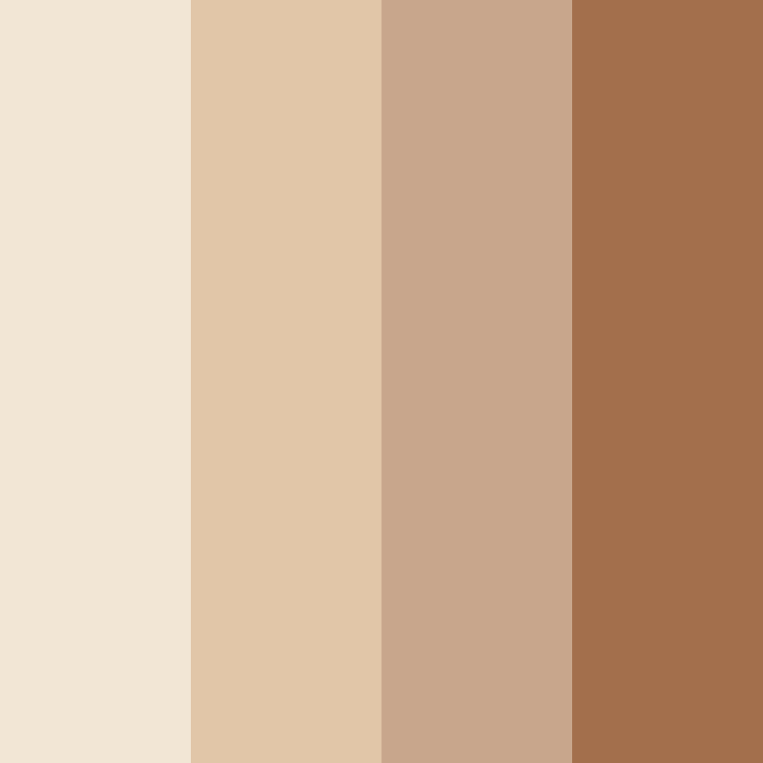 Download warm embrace of new beginnings color palette PNG image (square)