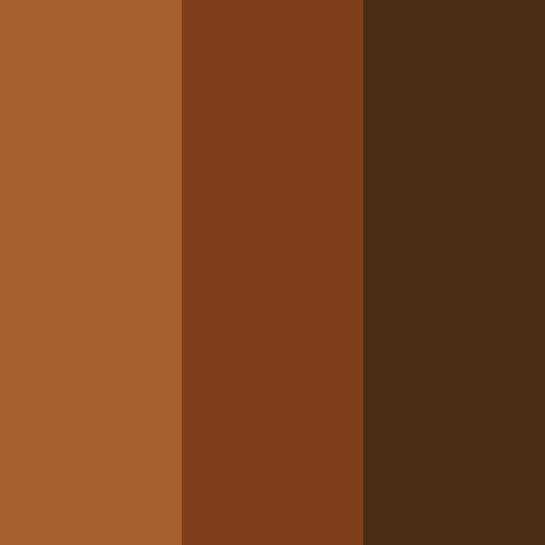 Download dark brown earth color palette PNG image (square)