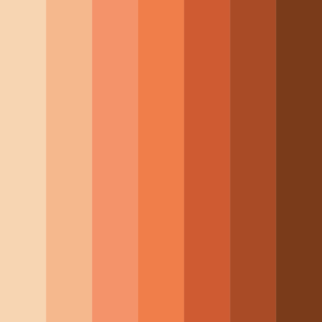 Download muted orange delight color palette PNG image (square)