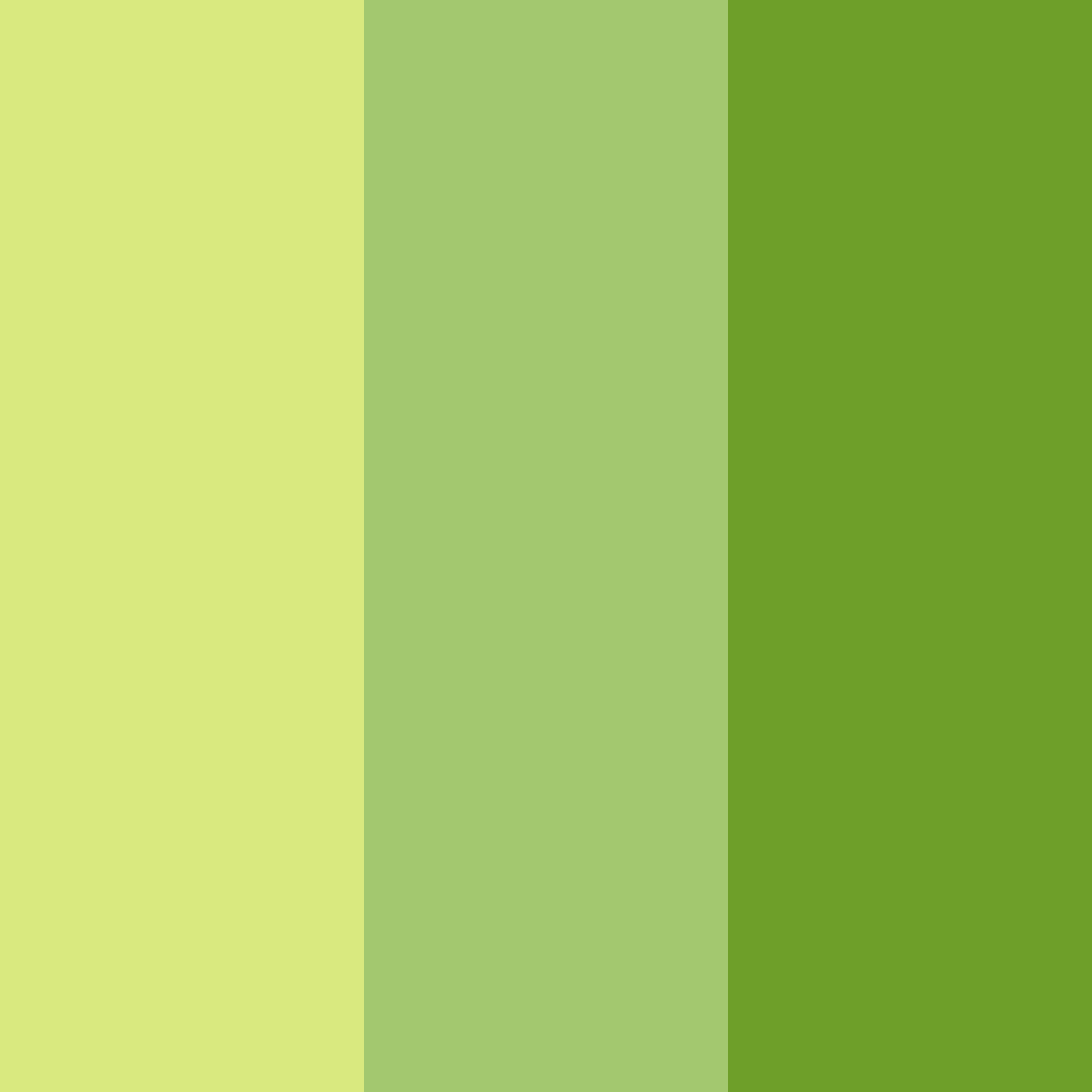 Download vibrant green color palette PNG image (square)