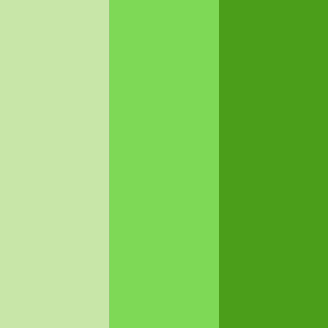 Download lime green sunshine color palette PNG image (square)