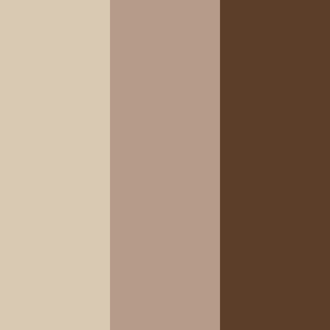 Download café delight color palette PNG image (square)