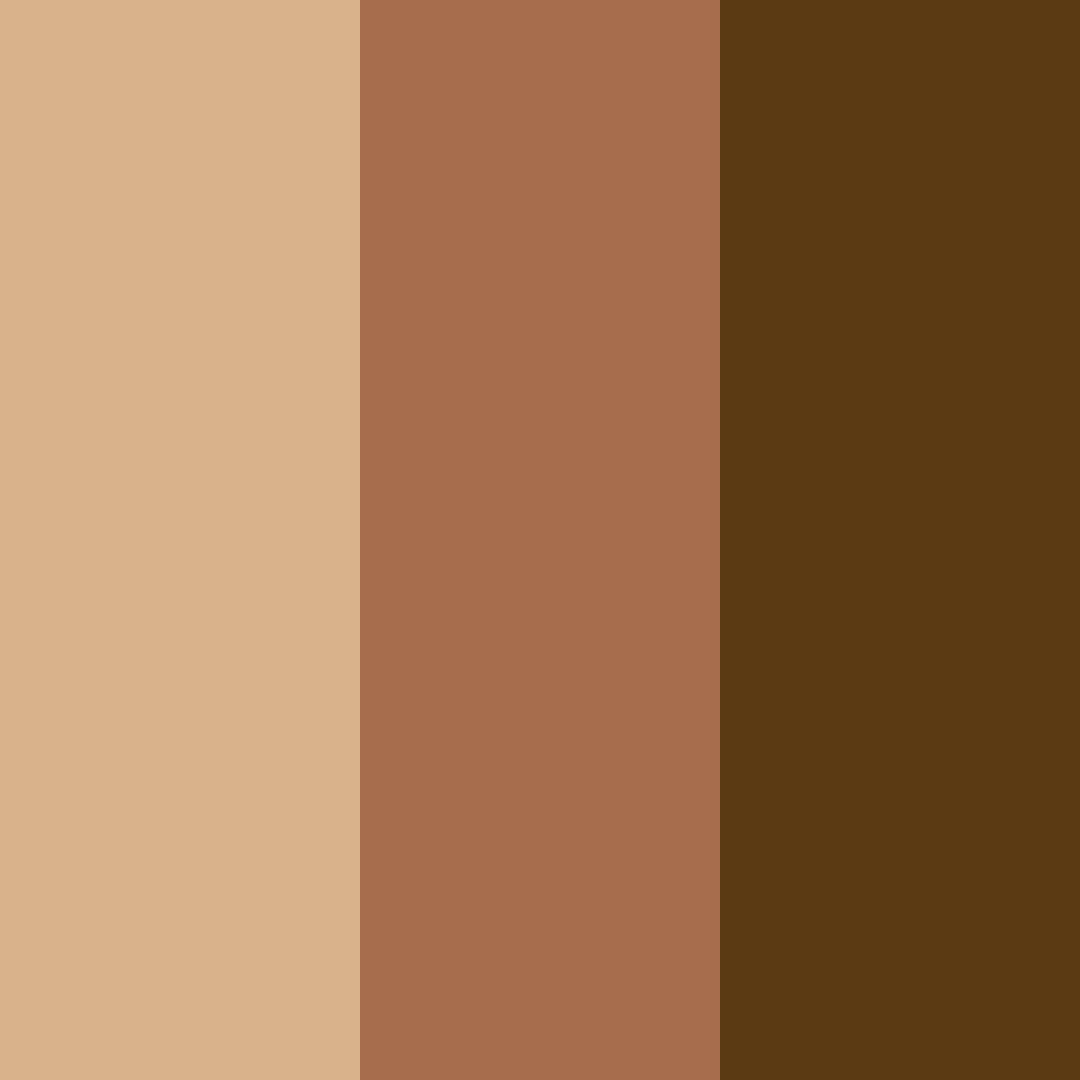 Download retro mocha dreams color palette PNG image (square)