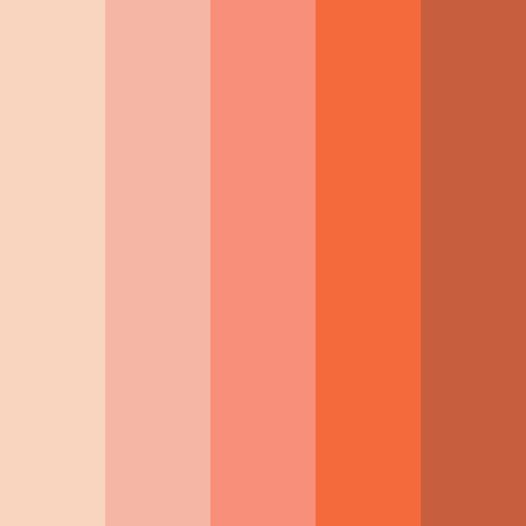 Download sunset blush color palette PNG image (square)
