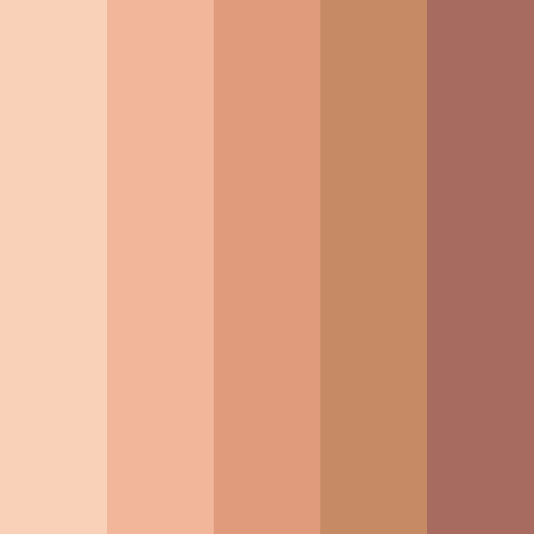 Download muted peach color palette PNG image (square)