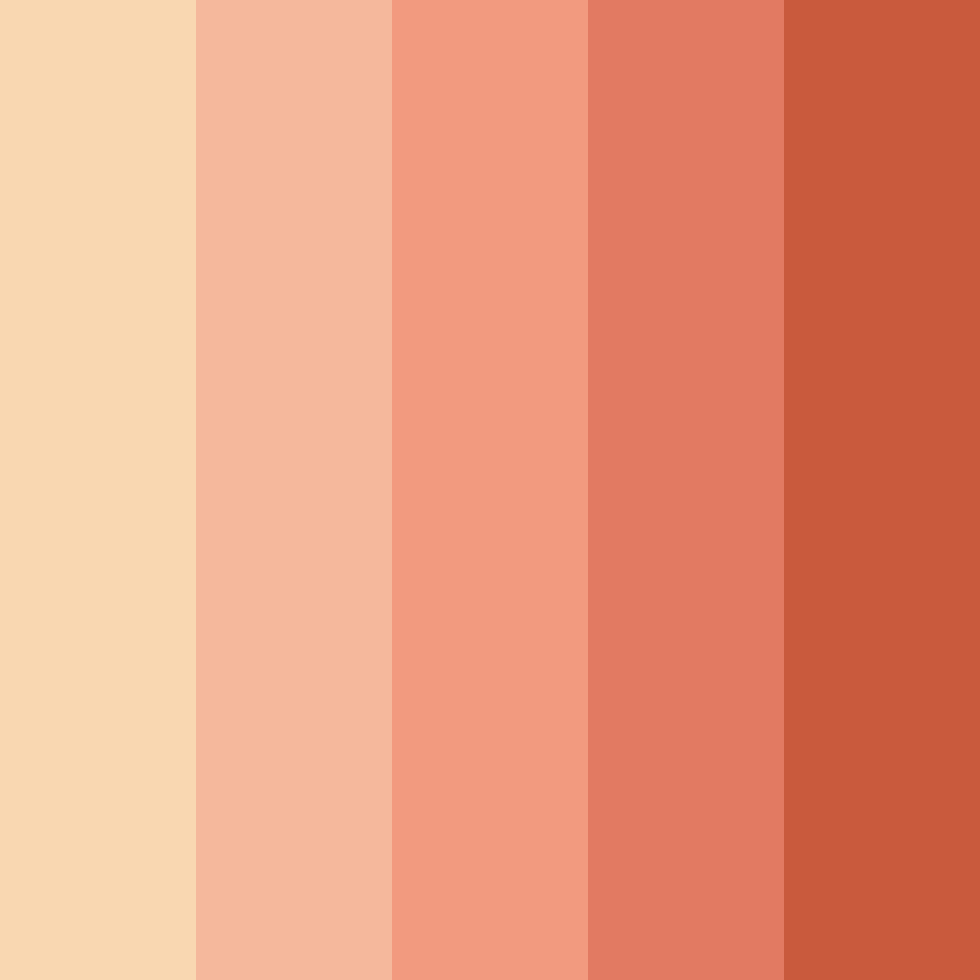 Download peach shades color palette PNG image (square)