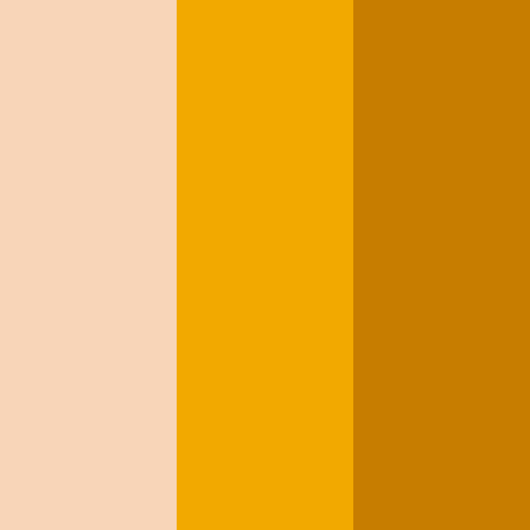 Download sunny sorbet delight color palette PNG image (square)