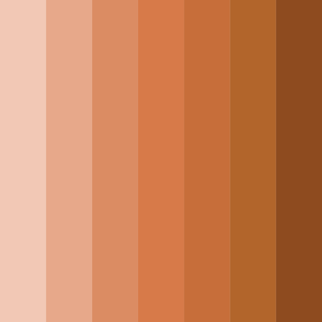 Download warm terracotta color palette PNG image (square)