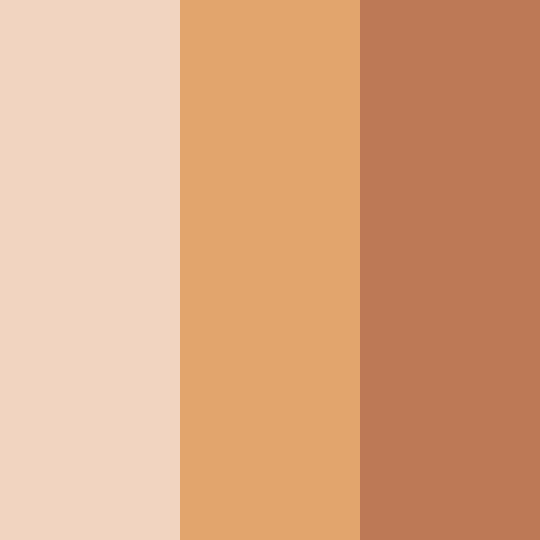 Download warm peach color palette PNG image (square)
